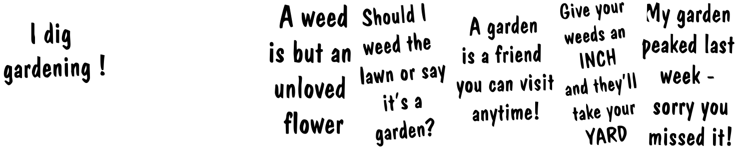 free font kr-gardenz